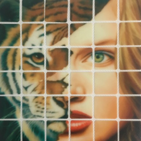 Рисунок квадраты клеевой девушка тигр 12х16см  (Штука)