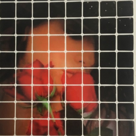 Рисунок квадраты клеевой девушка роза 12х16см  (Штука)