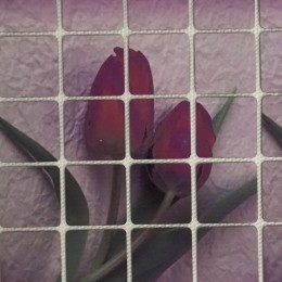 Рисунок квадраты клеевой тюльпаны 17х11см  (Штука)